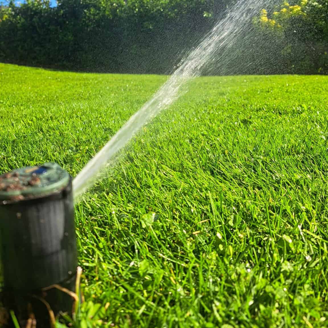 popup irrigation spraying water